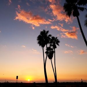 Meet your Posher, Dima